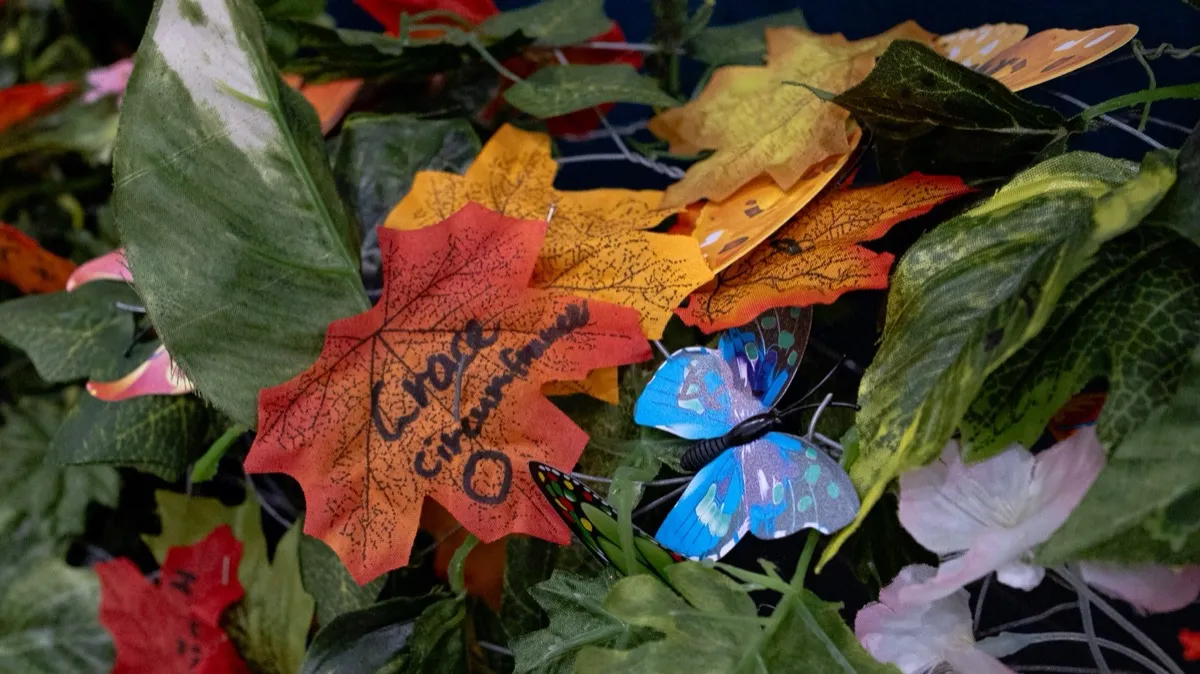 A named leaf on the Tree of Knowledge